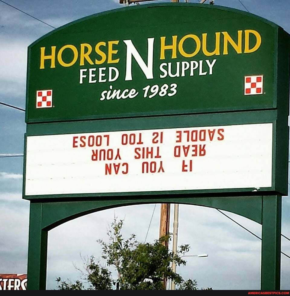 HORSE FEED