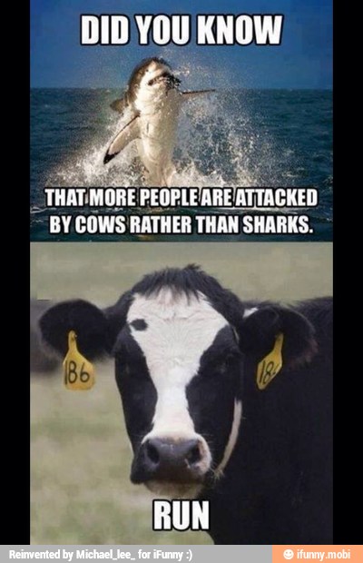 _THATMOR PEOPLE
ARE KED
BY COMWS! RATHER THAN SHARKS.