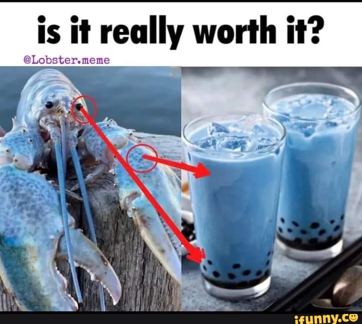 is-it-really-worth-it-lobster-meme-ifunny