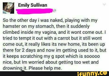 Emily Sullivan So the other day i was naked, playing with my hamster on