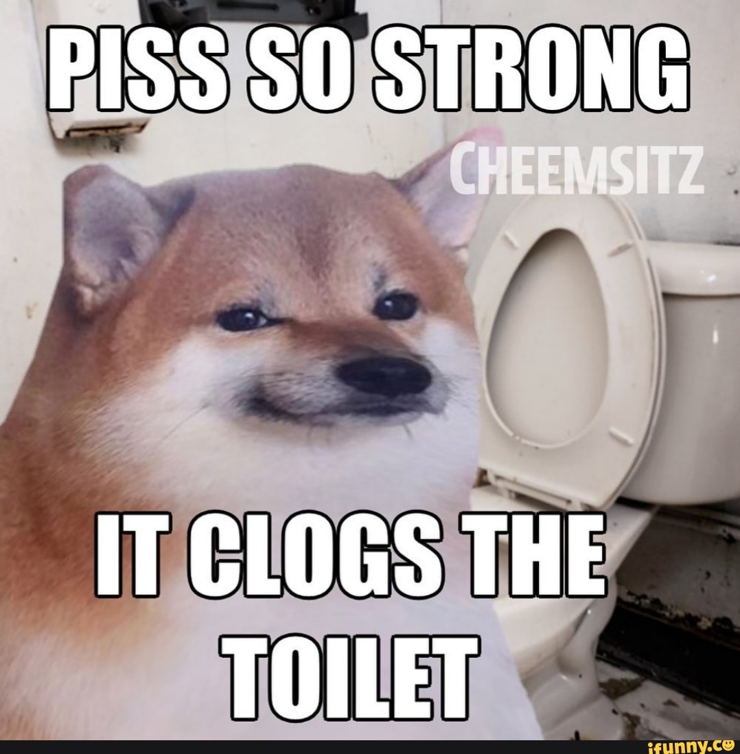Toulet Memes Best Collection Of Funny Toulet Pictures On Ifunny