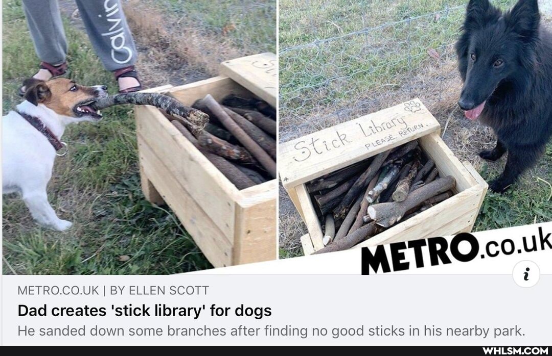 METRO.CO.UK I BY ELLEN SCOTT Dad creates 'stick library' for dogs
He sanded down some branches after finding no qood sticks in his nearby park.