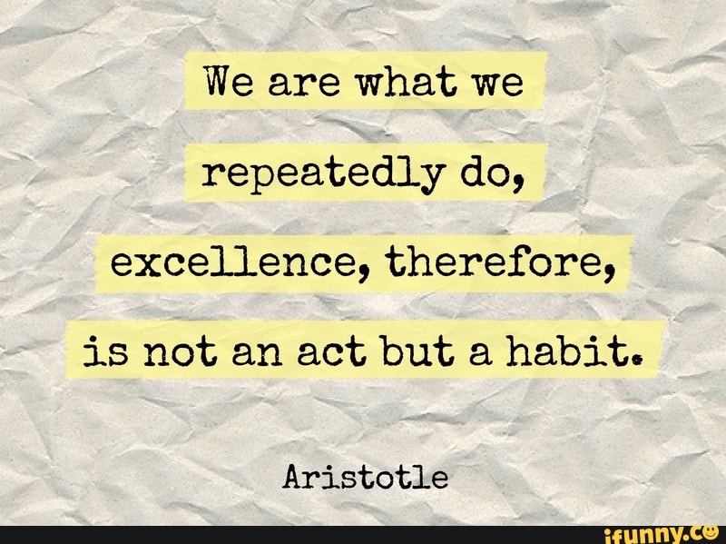 We are what we repeatedly do, excellence, therefore, is not an act but ...