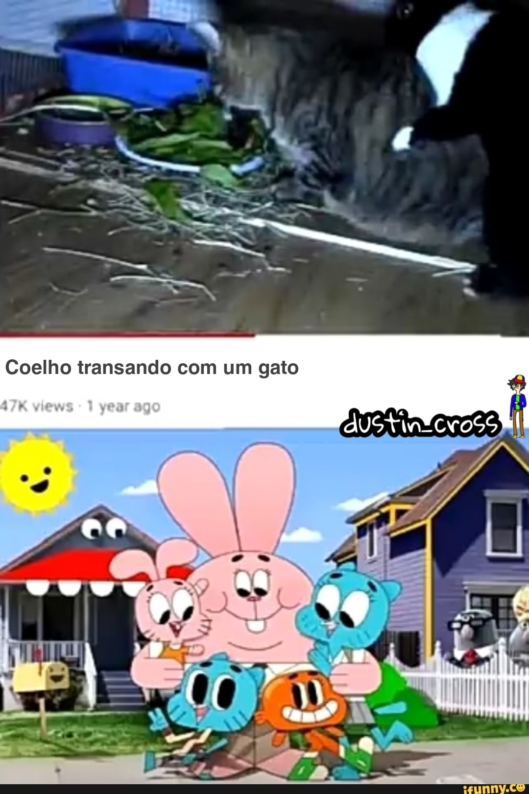 Coelho transando com um gato