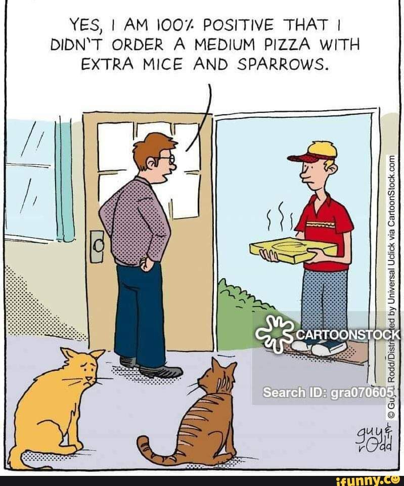 YES, I AM 100 POSITIVE THAT I DIDN'T ORDER A MEDIUM PIZZA WITH EXTRA