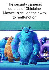 The security cameras outside of Ghislaine Maxwell's cell on their way