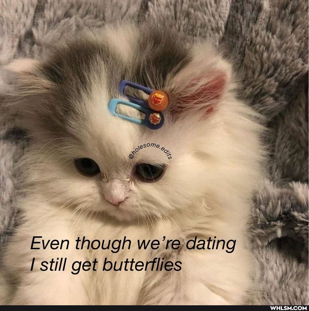ye
Even though we dating
_I still get butterflies