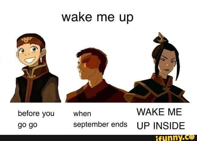 wake me up meme before you go go