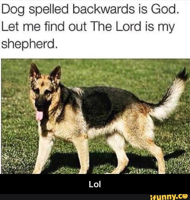 Dog Spelled Backwards Is God Let Me Find Out The Lord Is My Shepherd Lol