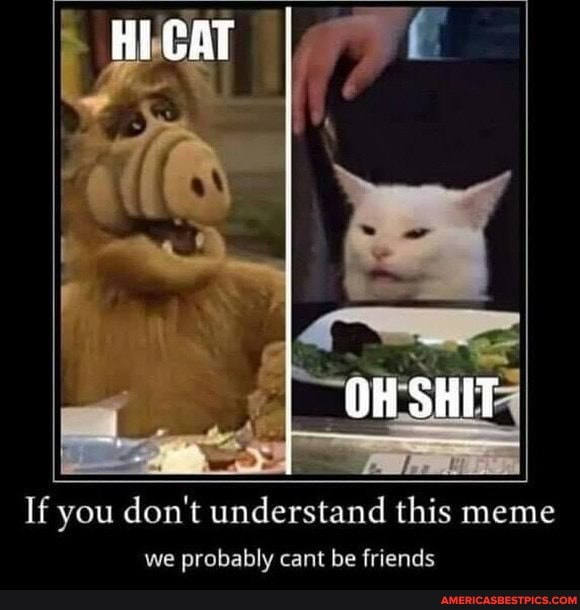 CAT OH SHIT If you don't understand this meme we probably cant be ...