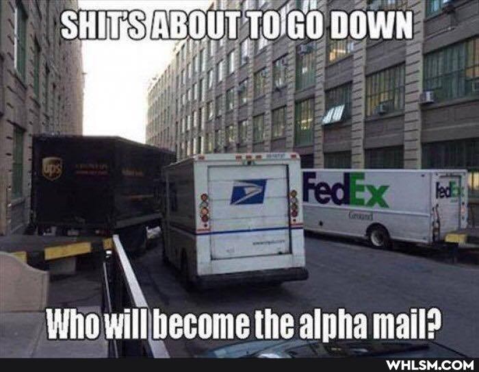 GO
Who will the alpha mail?