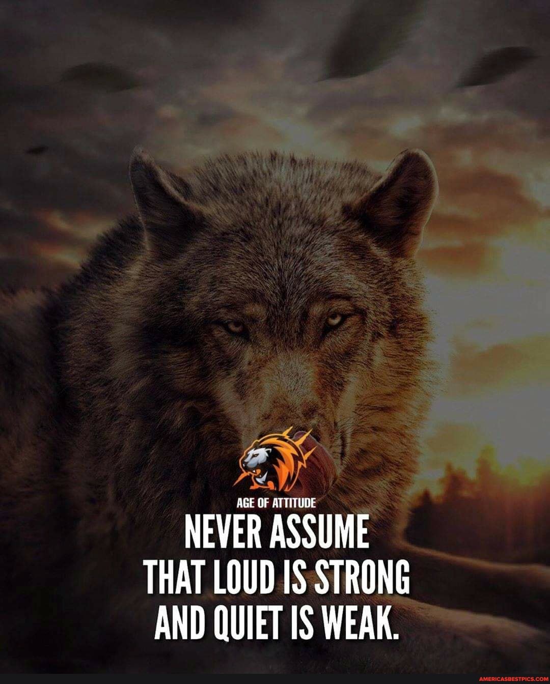 AGE OF ATTITUDE
NEVER ASSUME
THAT LOUD IS STRONG AND QUIET IS WEAK.