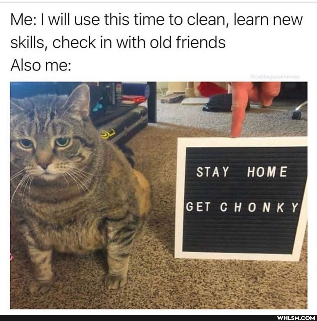 Me: I will use this time to clean, learn new skills, check in with old friends
Also me:
STAY HOME
GET CHONKY
