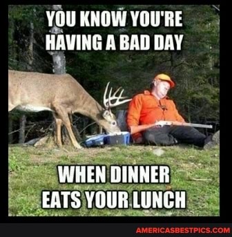 YOU RNGW RAVING BAD DAY
WHEN DINNER EATS YOUR LENCH