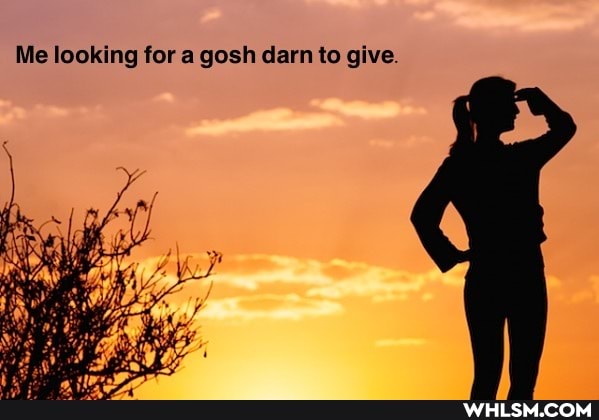 Me looking for a gosh darn to give.