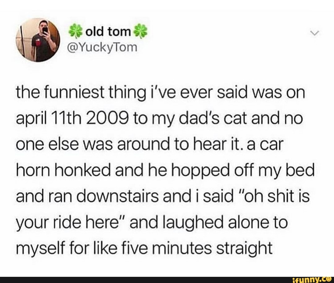 the funniest thing i've ever said was on
april 11th 2009 to my dad's cat and no
one else was around to hear it. a car
horn honked and he hopped off my bed
and ran downstairs and i said "oh shit is
your ride here" and laughed alone to
myself for like five minutes straight