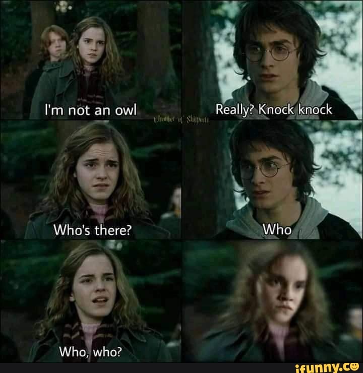 I'm not an owl
Who's there?
Who, who?