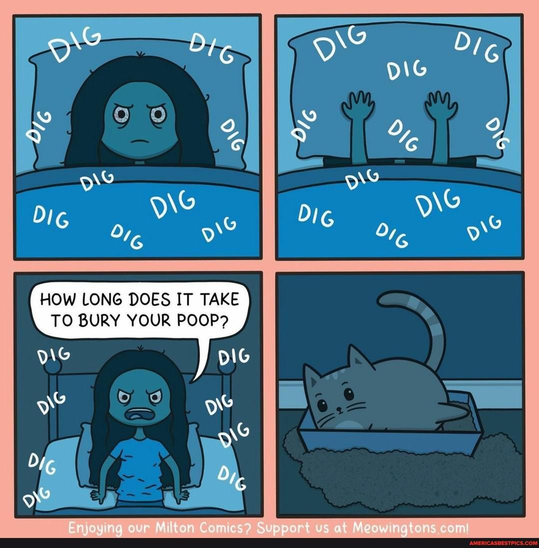 HOW LONG DOES IT TAKE
TO BURY YOUR POOP?
DIG ge? ow
IG d,
\G D/
0 G
3 Y,
G Ore