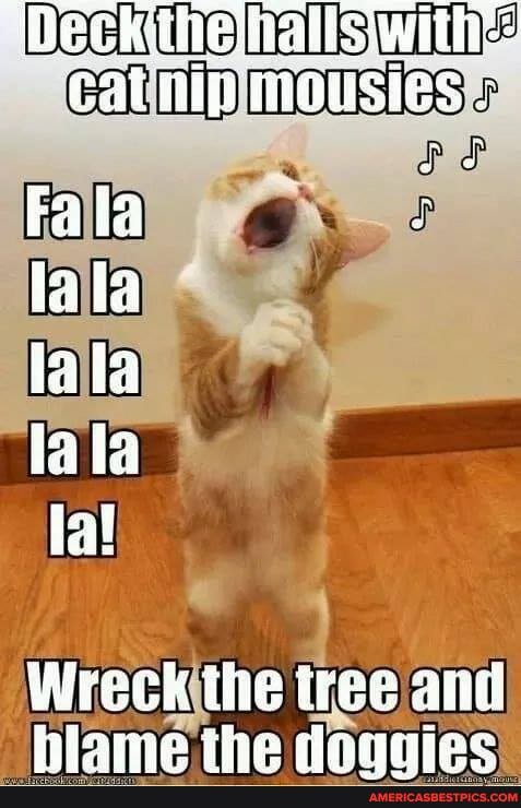 'Peck thehalis'with: cat mausies -
Fala lala lala lala la!
Wreck tie iree and hiame the
