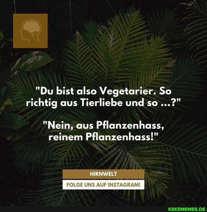 "Du bist also Vegetarier. So
richtig aus Tierliebe und so
"Nein, aus Pflanzenhass, reinem Pflanzenhass!"
HIRNWELT
FOLGE UNS AUF INSTAGRAM!