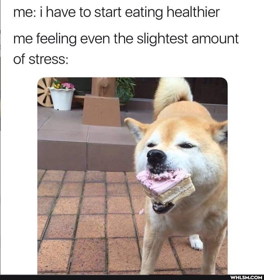 me: i have to start eating healthier
me feeling even the slightest amount of stress:
_f