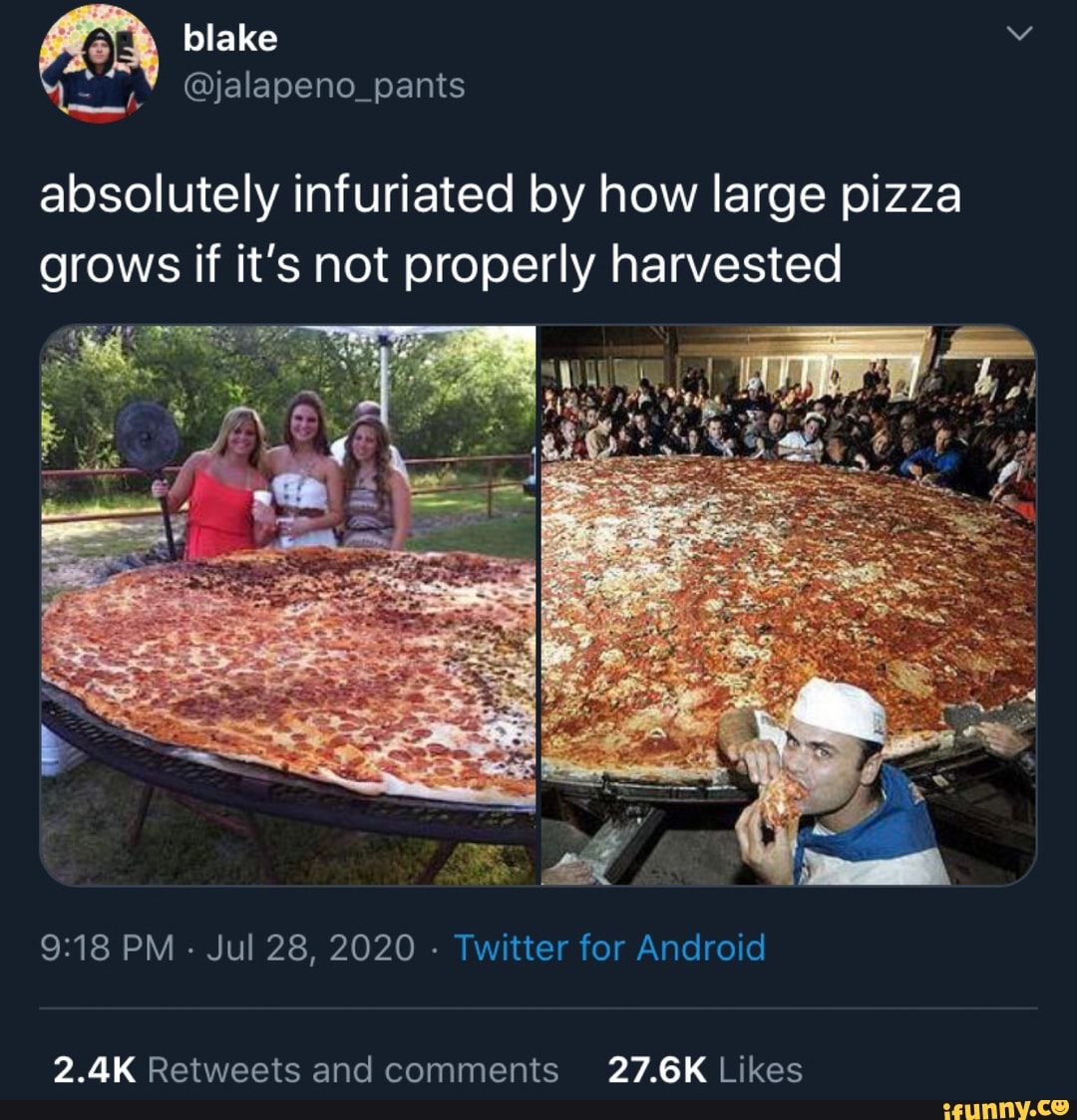 A blake y
Y
absolutely infuriated by how large pizza
grows if it's not properly harvested