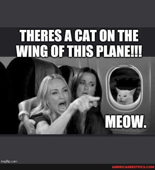 THERES A CAT ON THE WING OF THIS PLANE!!!
MEOW.