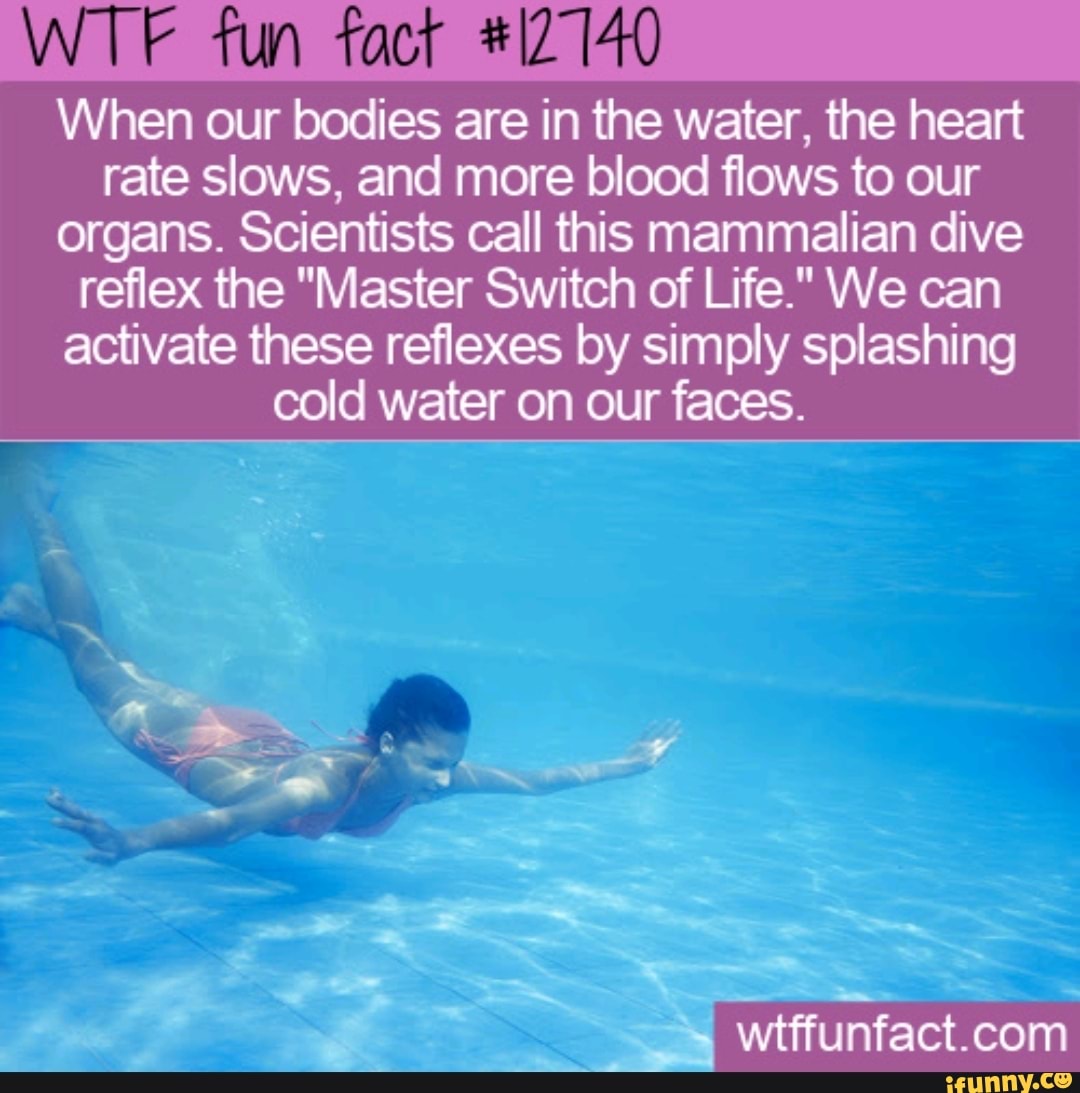 WTF fun fact 12140 When our bodies are in the water, the heart rate