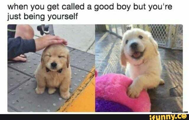 when you get called a good boy but you're just being yourself