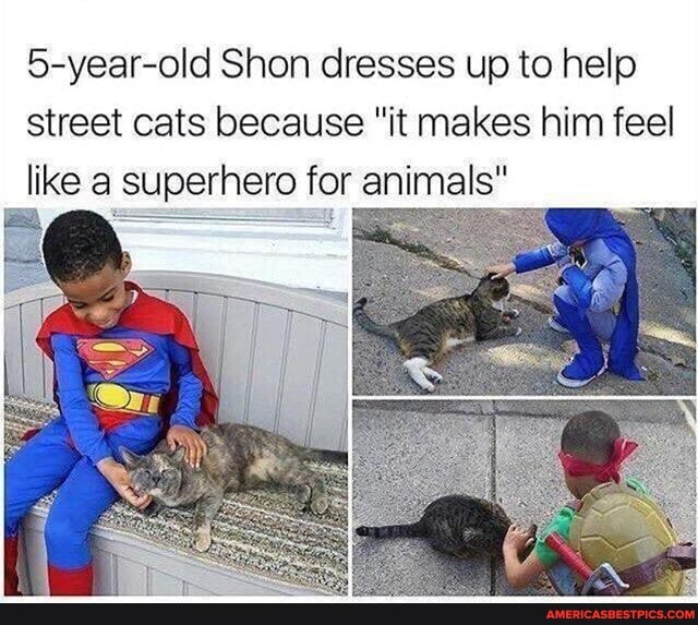 5-year-old Shon dresses up to help street cats because "it makes him feel like a superhero for animals"