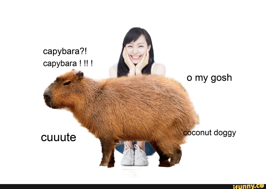 Capybara Posters & Prints | Zazzle