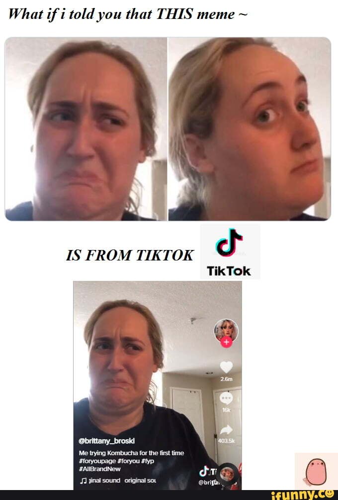 What if i told you that THIS meme IS FROM TIKTOK TikTok brittany