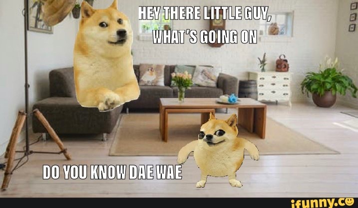 HEY THERE LITTLE GUY,
WHAT'S GOING ON
DO YOU KNOW DAE WAE