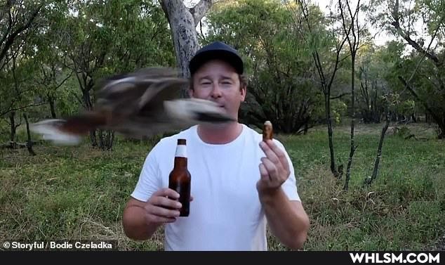 funny, fail, bbq, aussie