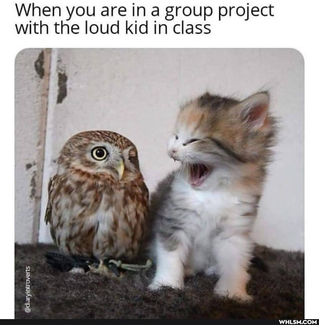 When you are in a group project
with the loud kid in class
@diaryintroverts