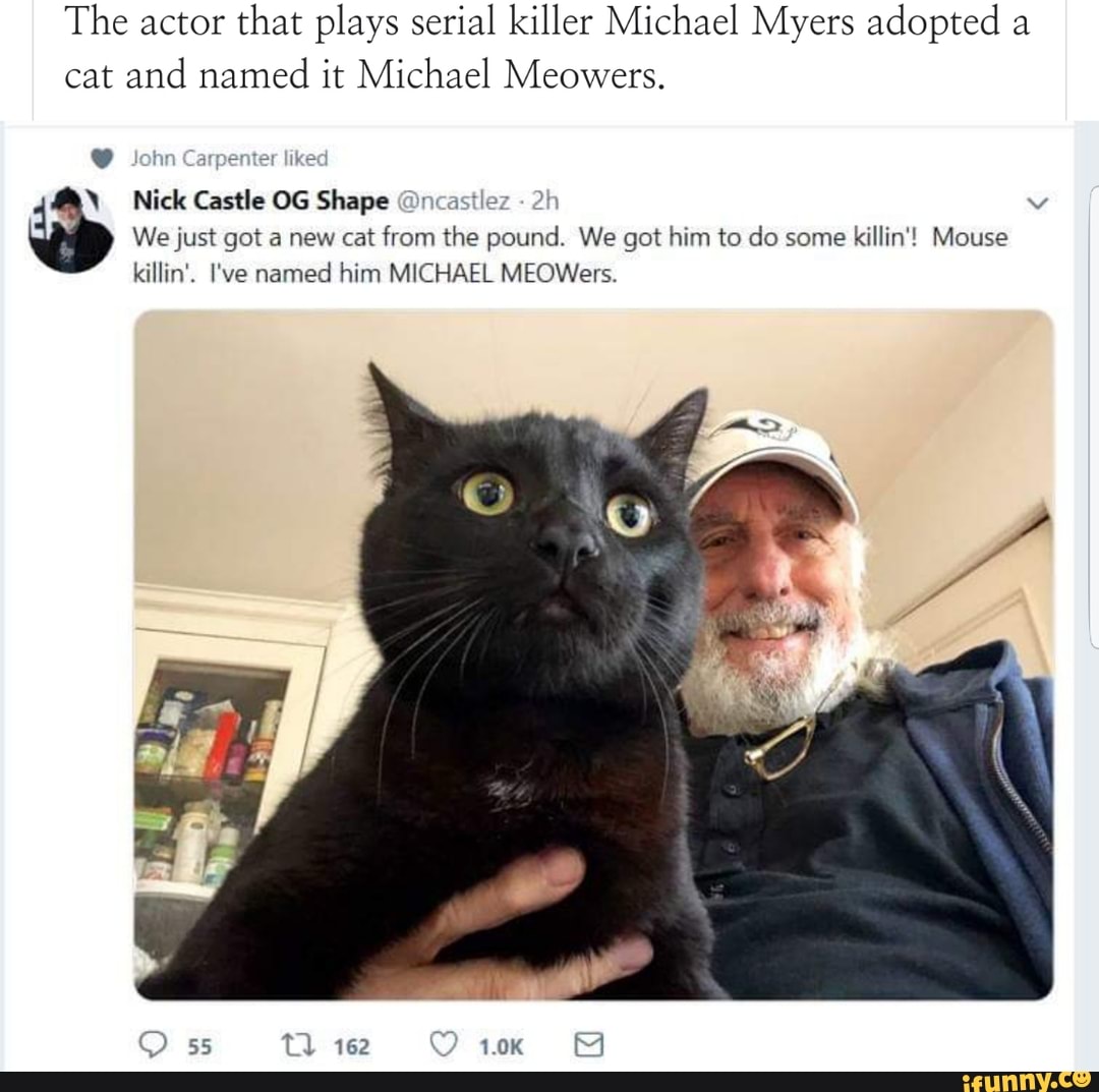 Plays Myers Adopted Cat And Named It Michael Meowers Ifunny