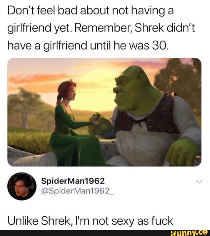 Dont Feel Bad About Not Having A Girlfriend Yet Remember Shrek Didnt Have A Girlfriend Until 