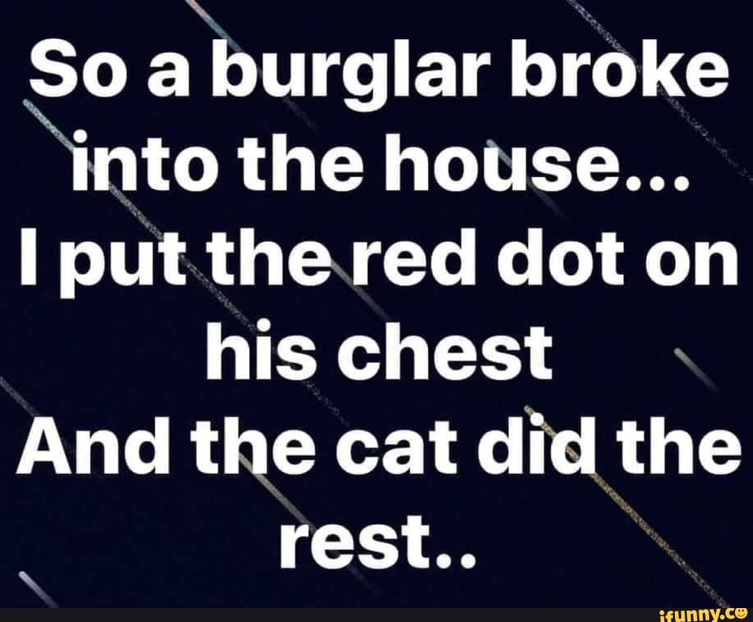 So A Burglar Broke Into The House... I Put Thered Dot On His Chest And ...