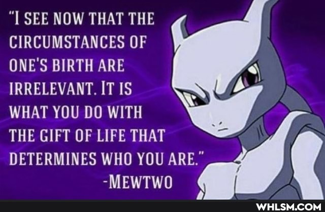 SEE NOW THAT THE CIRCUMSTANCES OF ONE'S BIRTH ARE IRRELEVANT. IT IS WHAT YOU DO WITH THE GIFT OF LIFE THAT DETERMINES WHO YOU ARE."
-MEWTWO