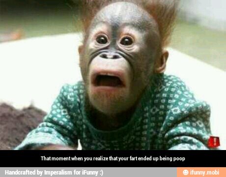 That moment when you realize that your fart ended up being poop