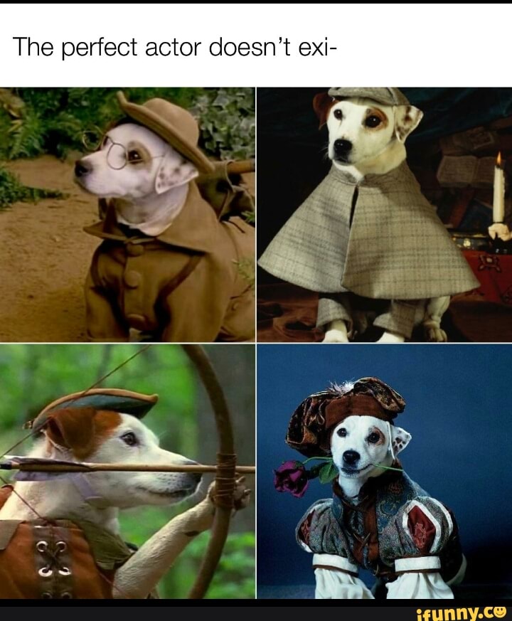 The perfect actor doesn't exi-