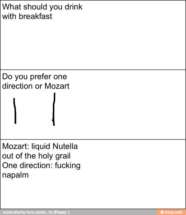 What should you drink
with breakfast
Do you prefer one
direction or Mozart
Mozart: liquid Nutella
out of the holy grail
One direction: fucking
napalm