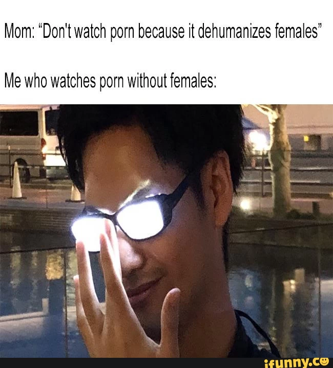 Mom: "Don't watch porn because it dehumanizes females' Me who watches porn without females: