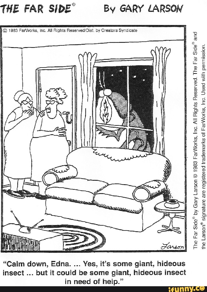 THE FAR SIDE