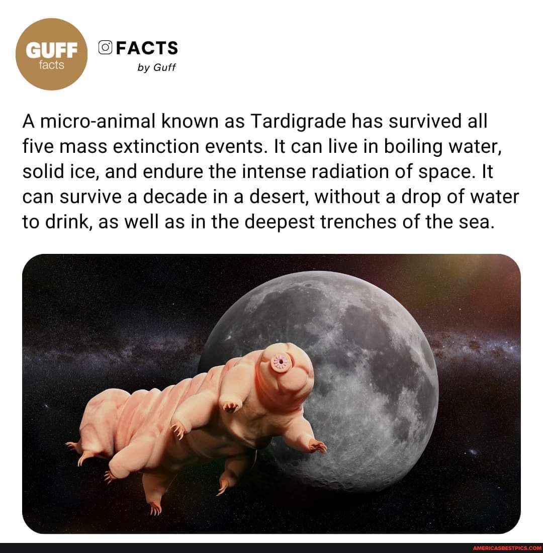FACTS by Guff A micro-animal known as Tardigrade has survived all five mass  extinction events.