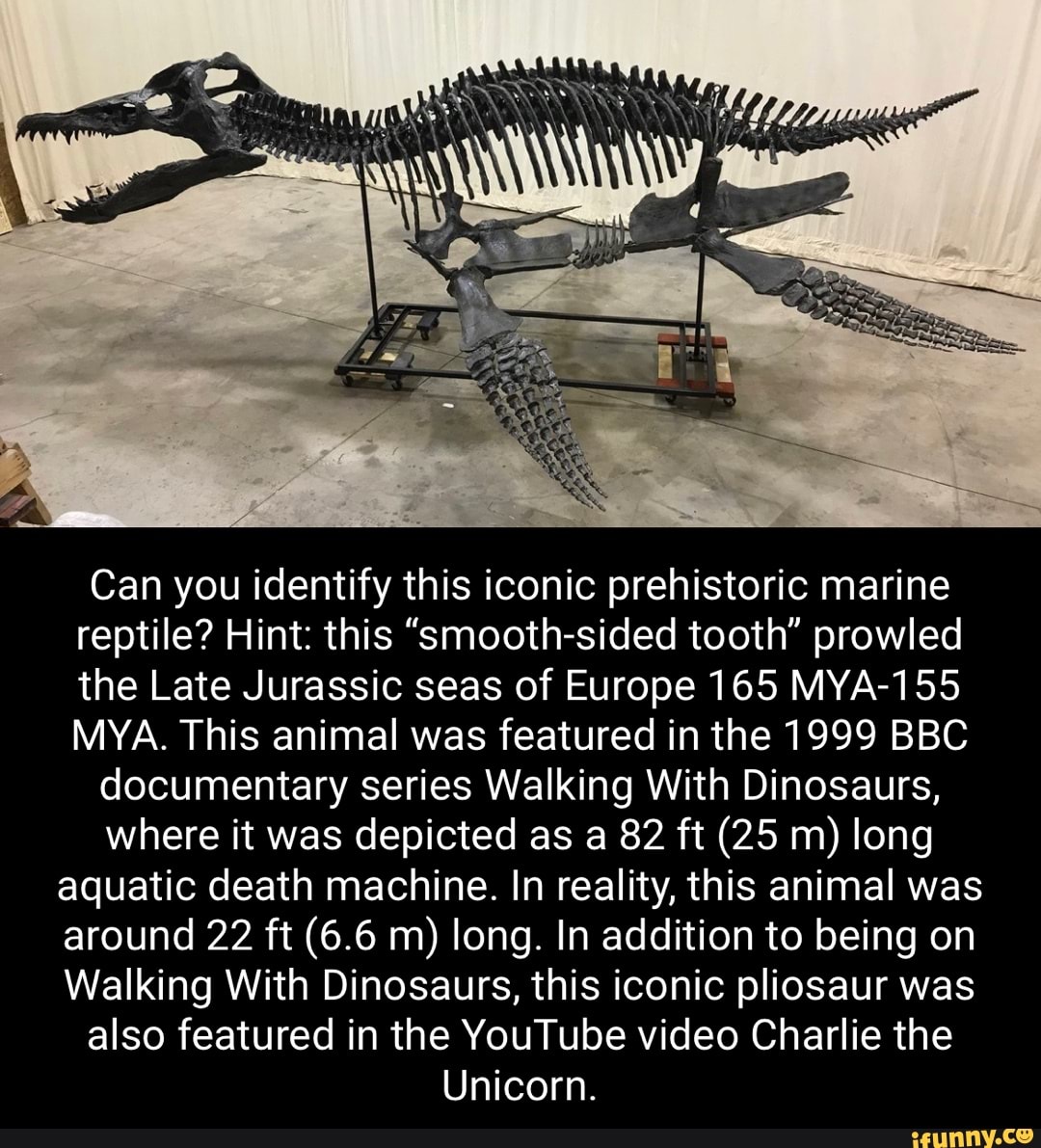 Can you identify this iconic prehistoric marine reptile? Hint: this