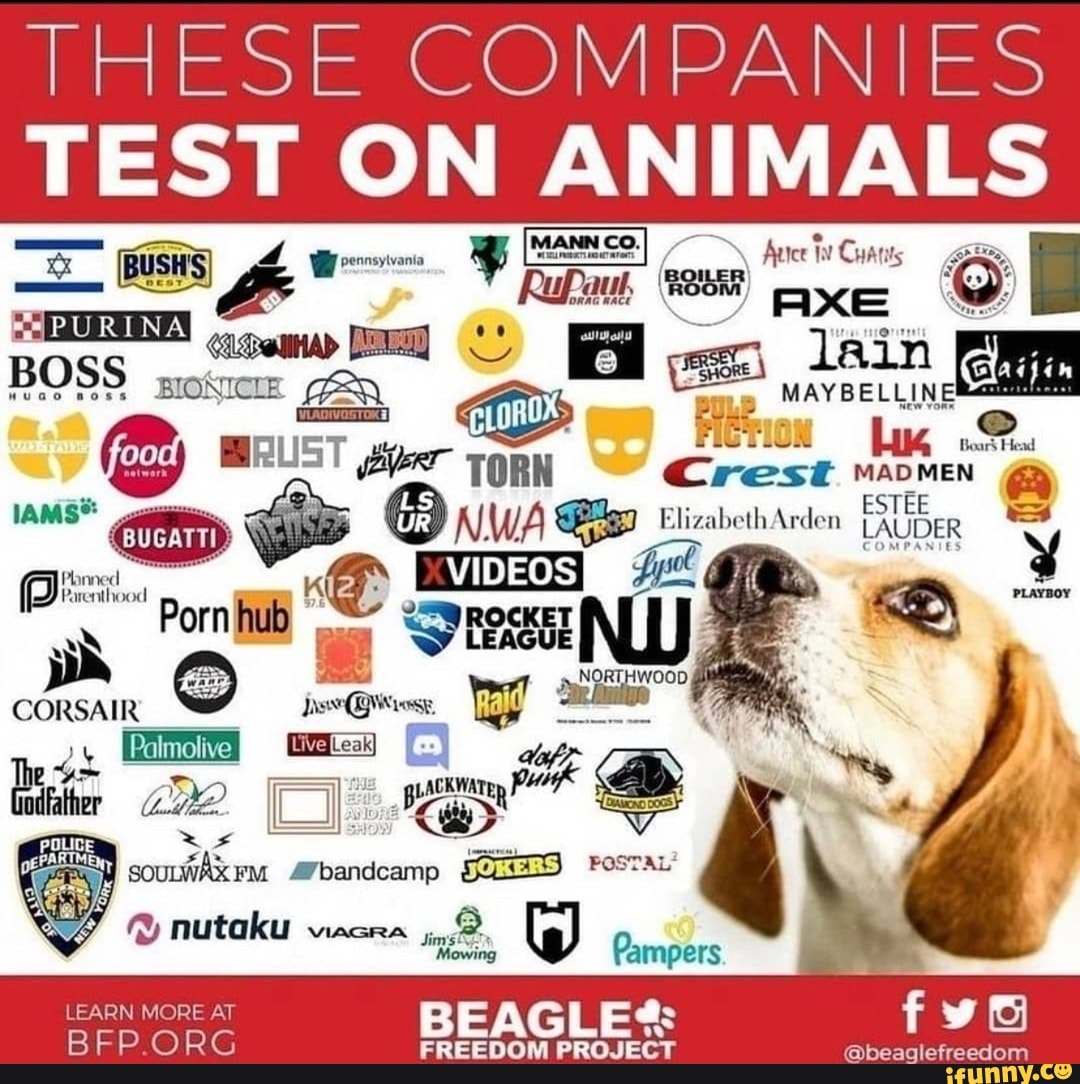 these-companies-test-on-animals-boss-bionicie-an-or-om-hub-kd-rocket-fe