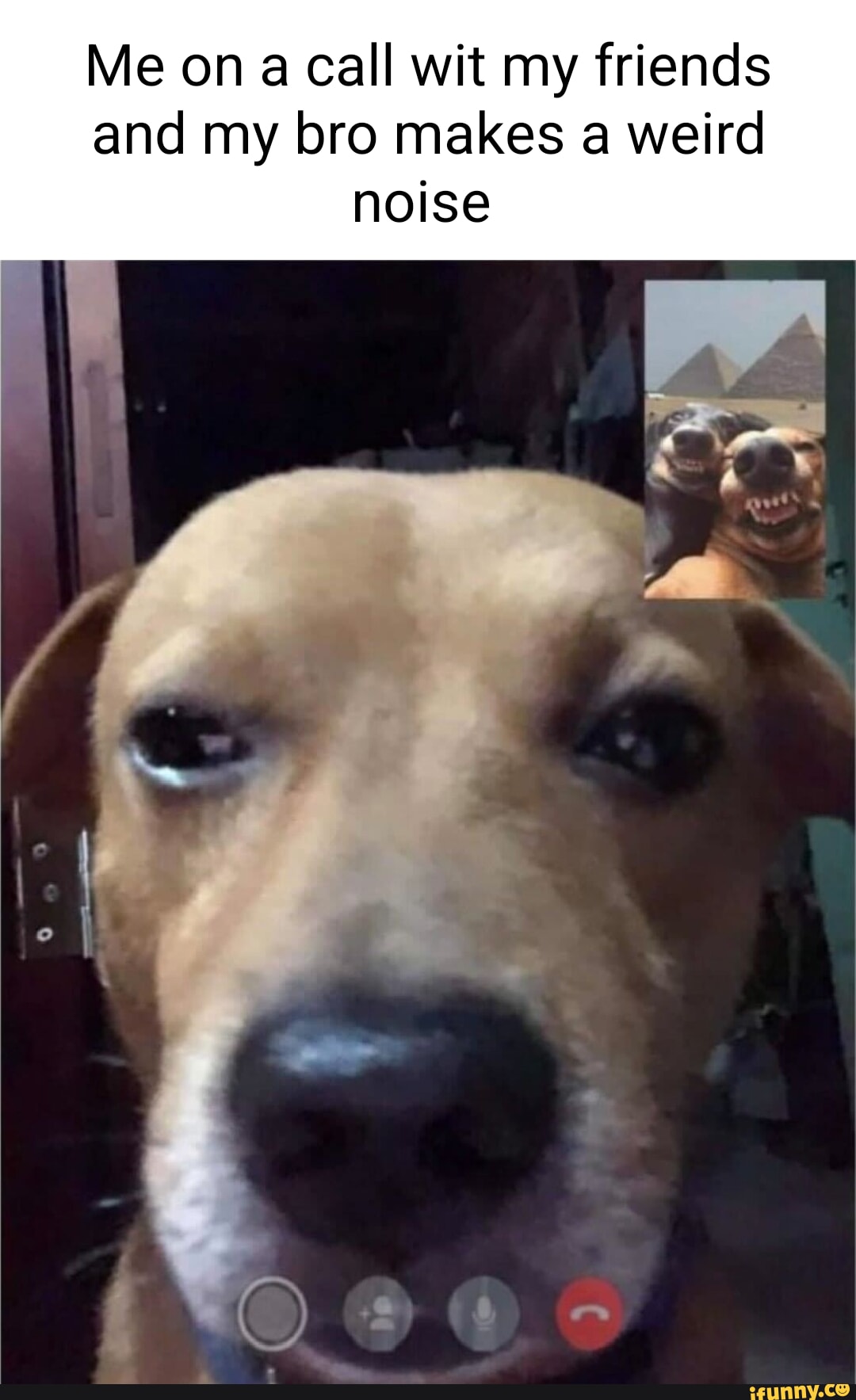 Video Call Meme Videocall memes. Best Collection of funny Videocall pictures on iFunny