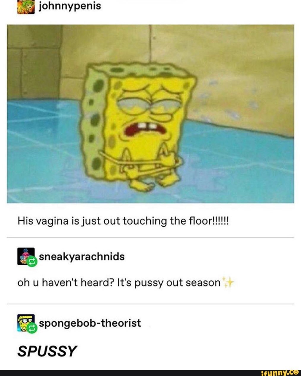Spongebob vagina