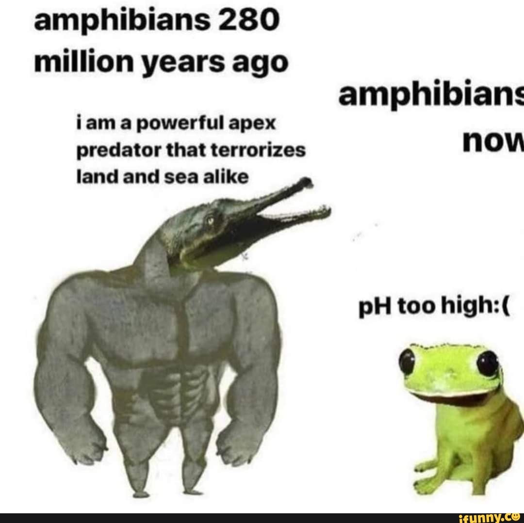 Amphibians 280 million years ago amphibians iam a powerful apex